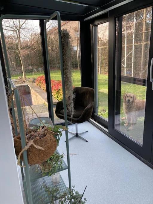 Woning 'chez Marley' In Ferienhaus *