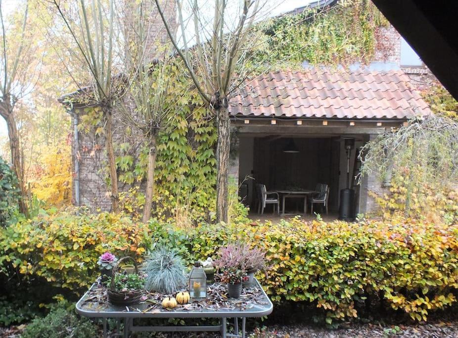 Woning 'chez Marley' In Maasmechelen